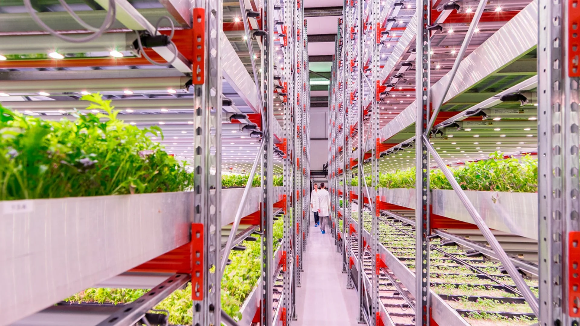 Sera Otomasyon Sistemleri